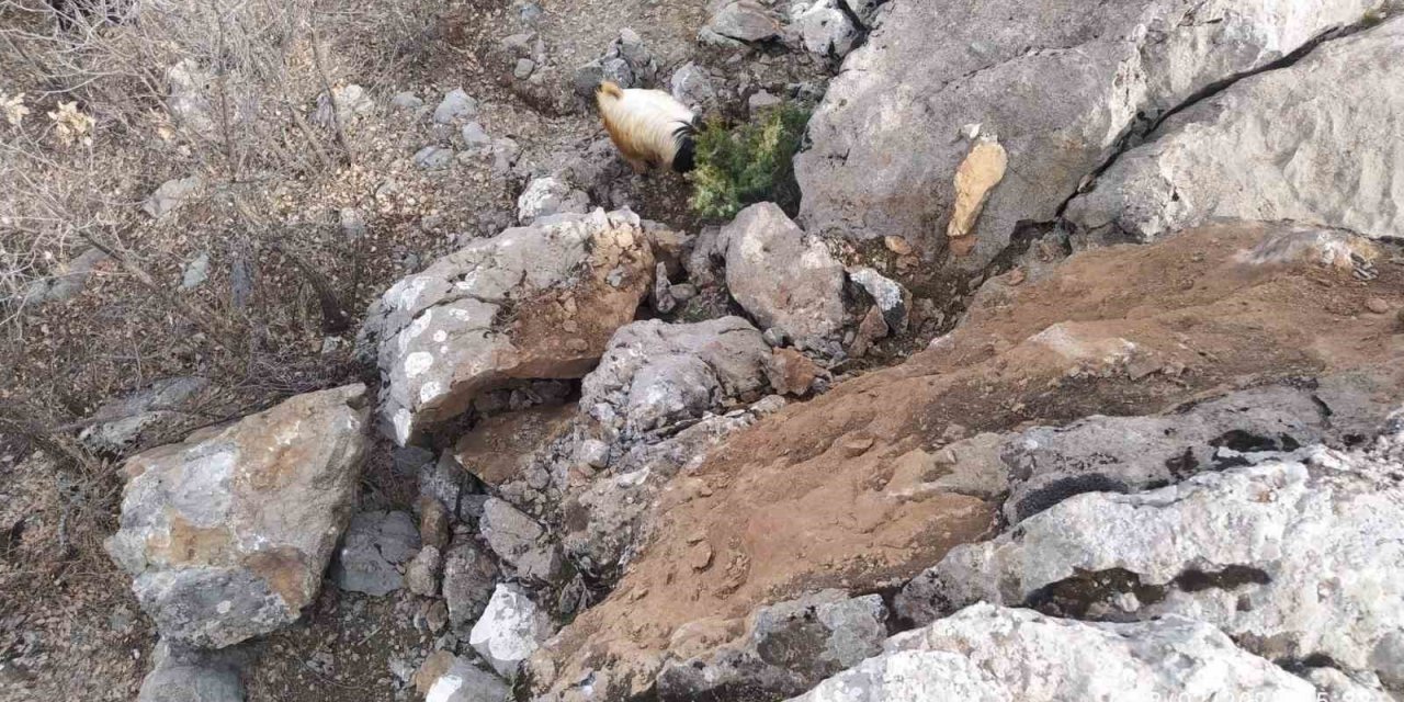 Deprem sonrası dağdan kopan dev kaya parçaları tehlike saçıyor