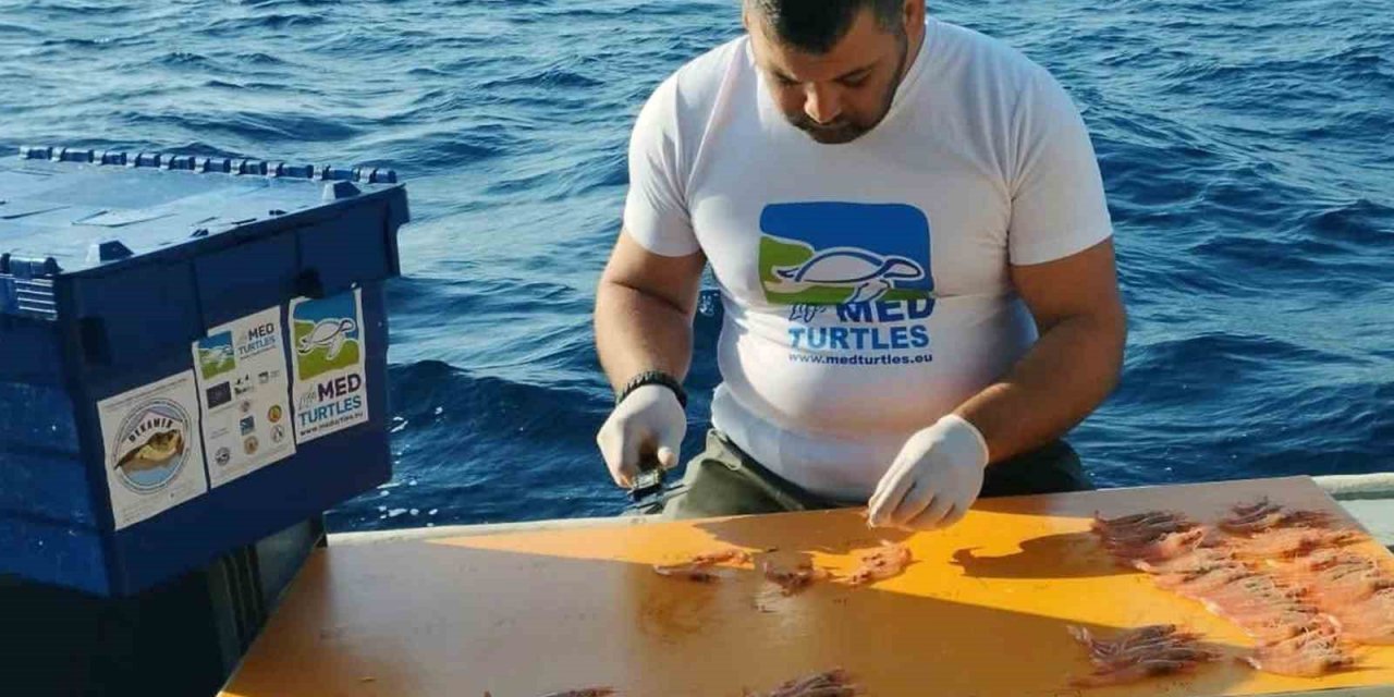 Kaplumbağa dışlama cihazı testleri devam ediyor