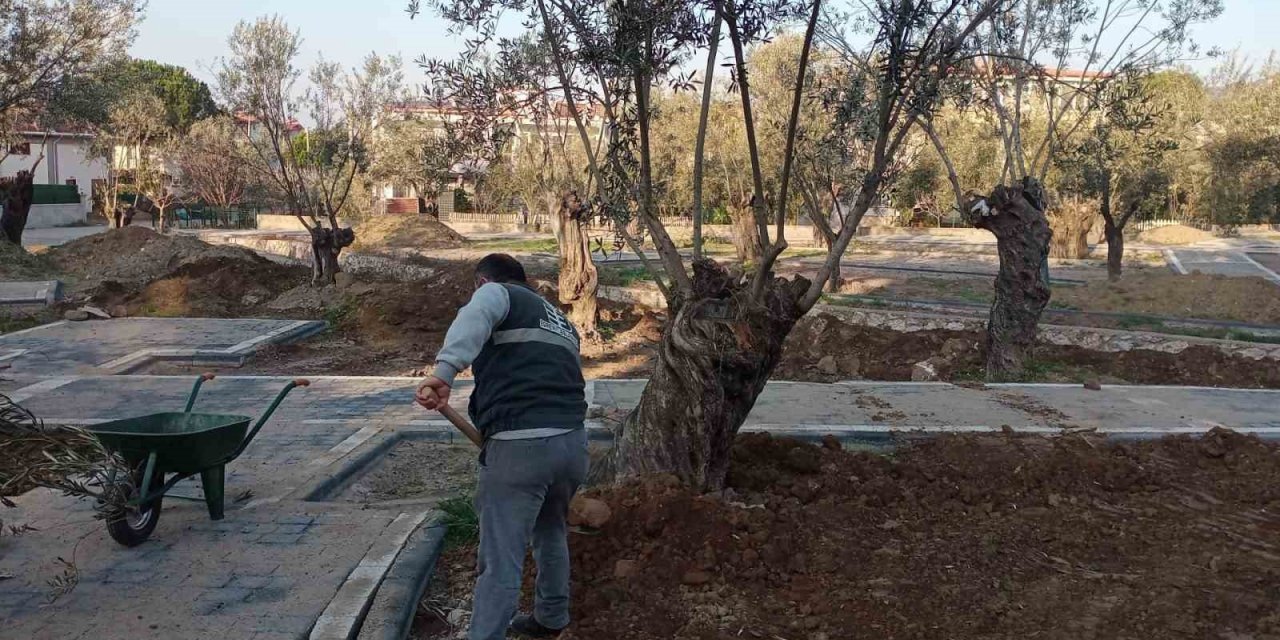 Yeni parklarda peyzaj düzenlemeleri devam ediyor