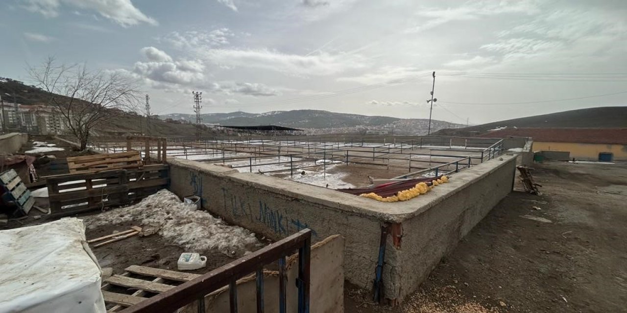 Yozgat’ta canlı hayvan pazarları tedbiren kapatıldı