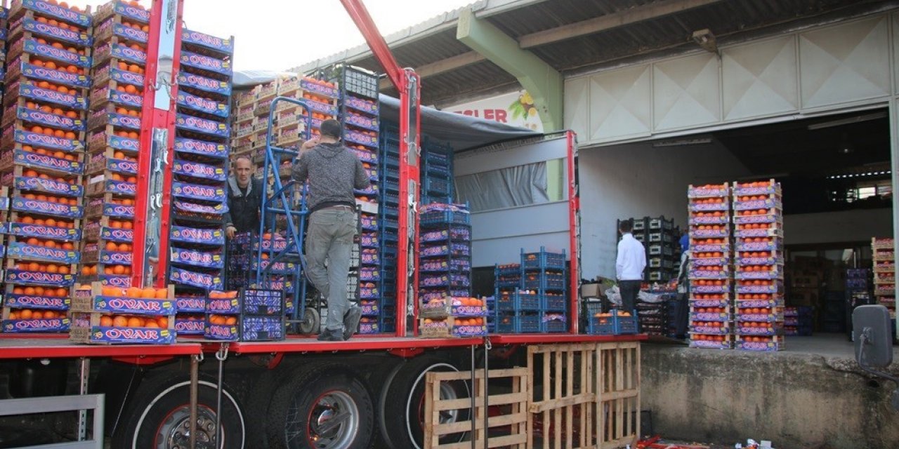 Yalova’daki meyve sebze halinden 2 ayda 5 bin 177 ton ürün çıkışı