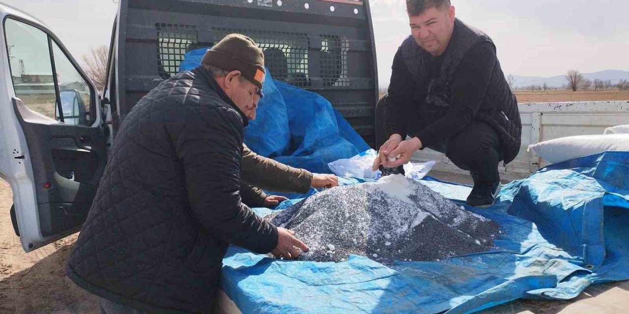 Fiyatı yükselişe geçince üreticiler bu yıl tarlalarına soğan ekmeye başladı