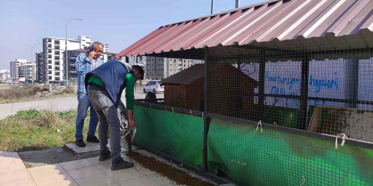 Osmaniye’de sokak hayvanlarına mama desteği