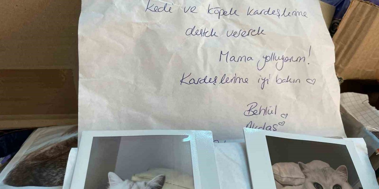 Almanya’da yaşayan gurbetçi, depremzede sokak hayvanlarını unutmadı