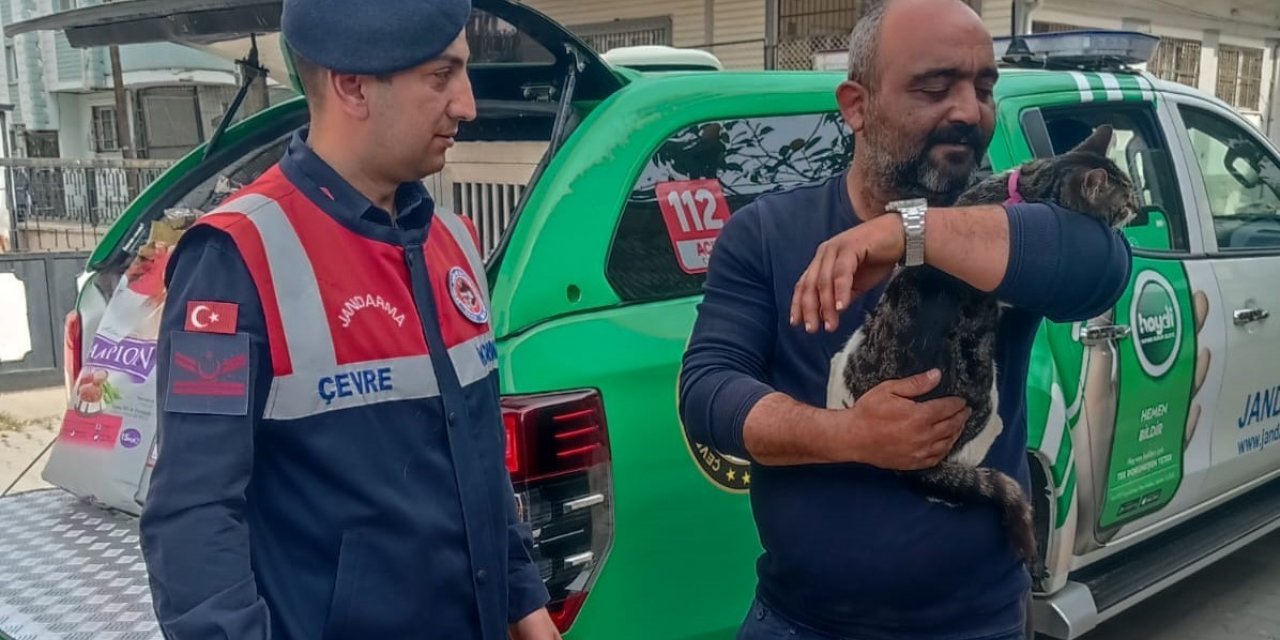 Binada mahsur kalan kediyi jandarma kurtardı