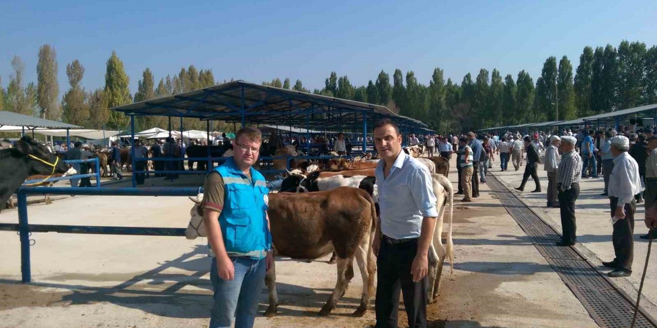 Simav’da bahar dönemi şap aşılama çalışmaları sürüyor