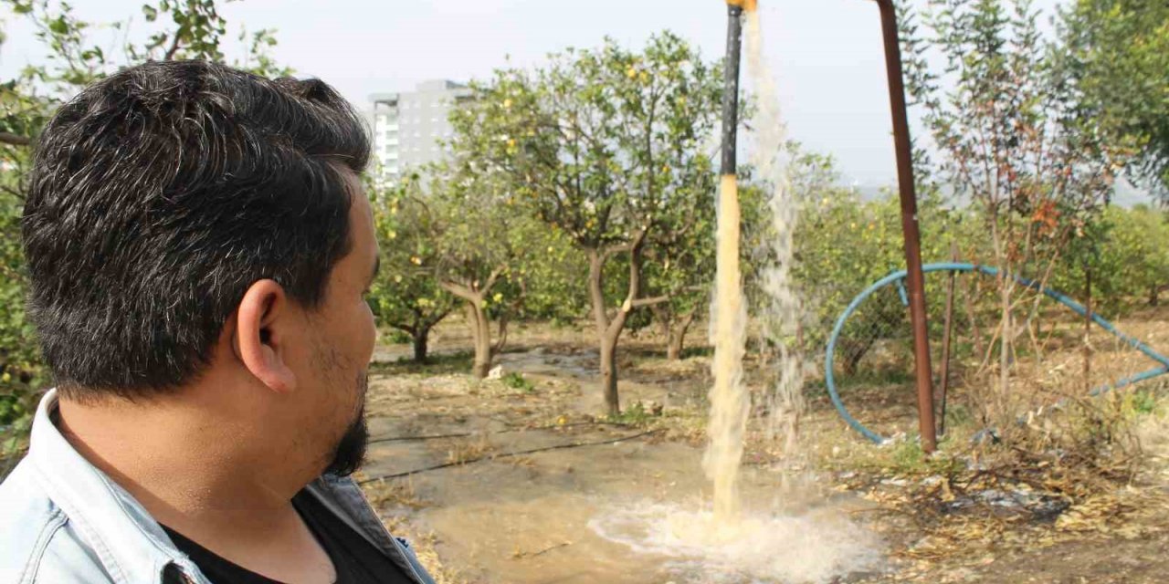 Narenciye üreticisi bahçe sularken fark etti: “Su çamurlu akmaya başladı”