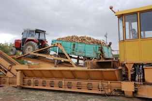 Ereğli'de pancar ödemeleri başladı