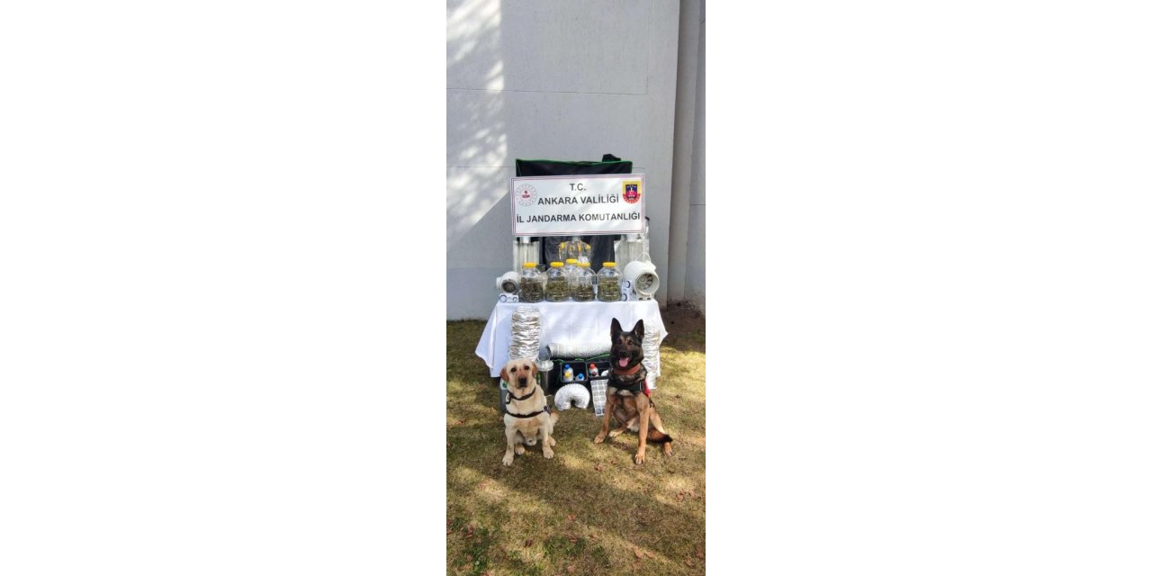 Başkentte uyuşturucu operasyonu