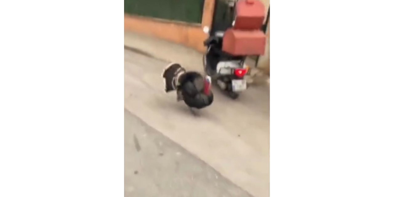 Motosikletine binmek isteyen kuryeye hindi engeli