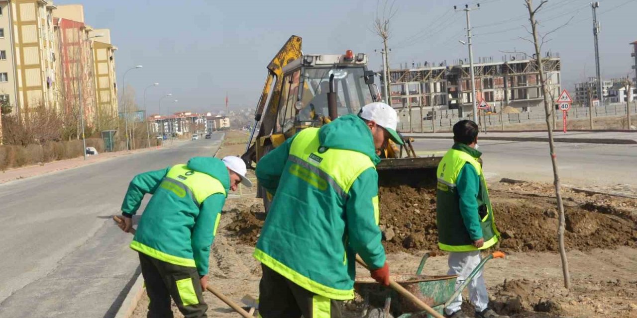 Ereğli’de park ve bahçelere gül dikimi