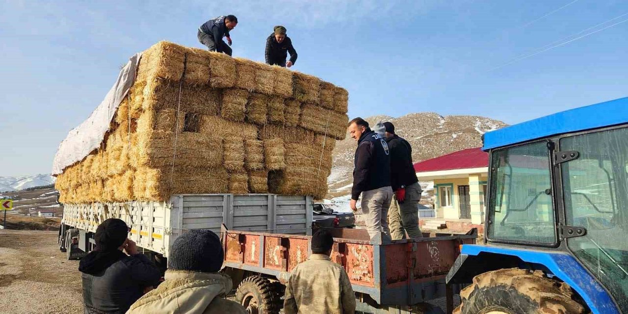 Konyaaltı’ndan deprem bölgesine yem ve saman desteği