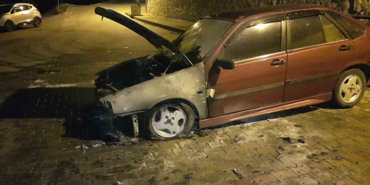 Alev alan park halindeki otomobil kullanılmaz hale geldi