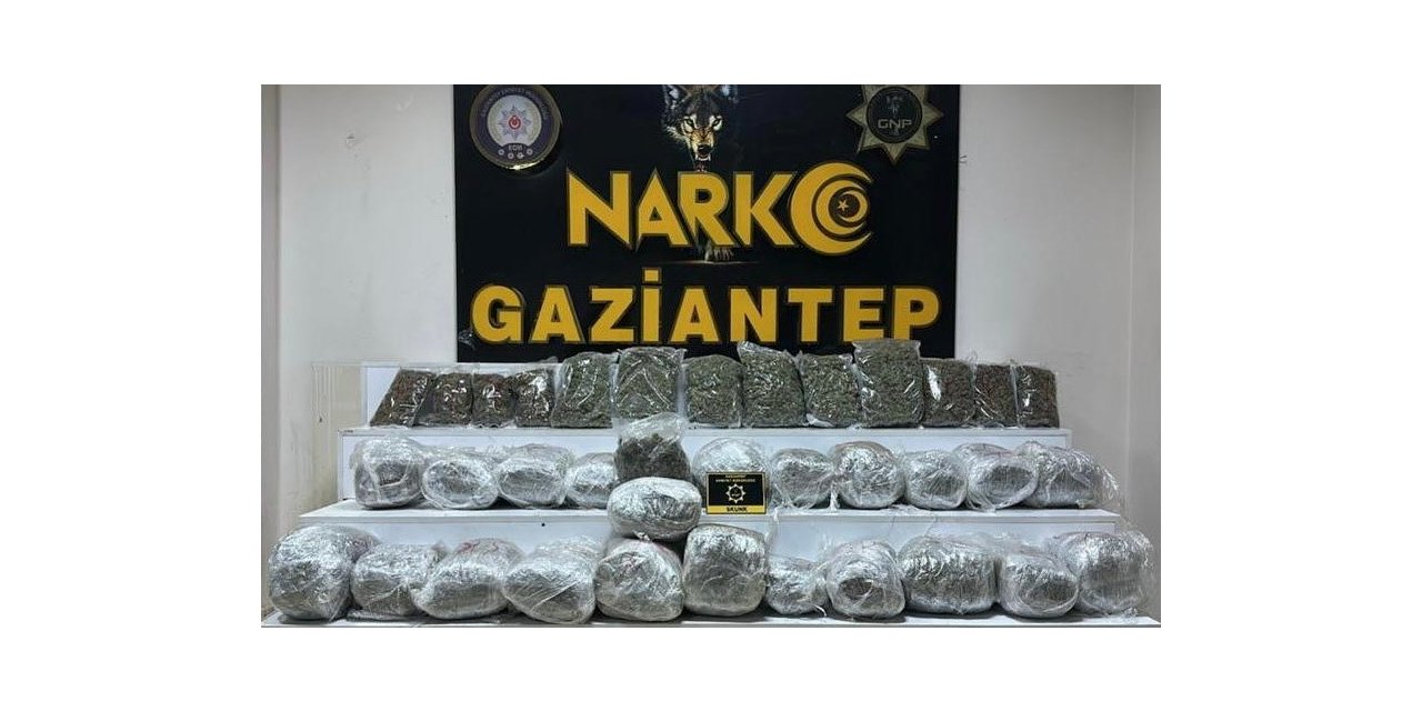 Gaziantep’te 28 kilo 400 gram skunk ele geçirildi