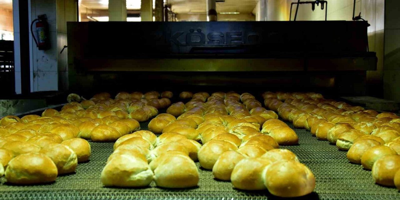 MEGSAŞ günlük 250 bin ekmek üretiyor