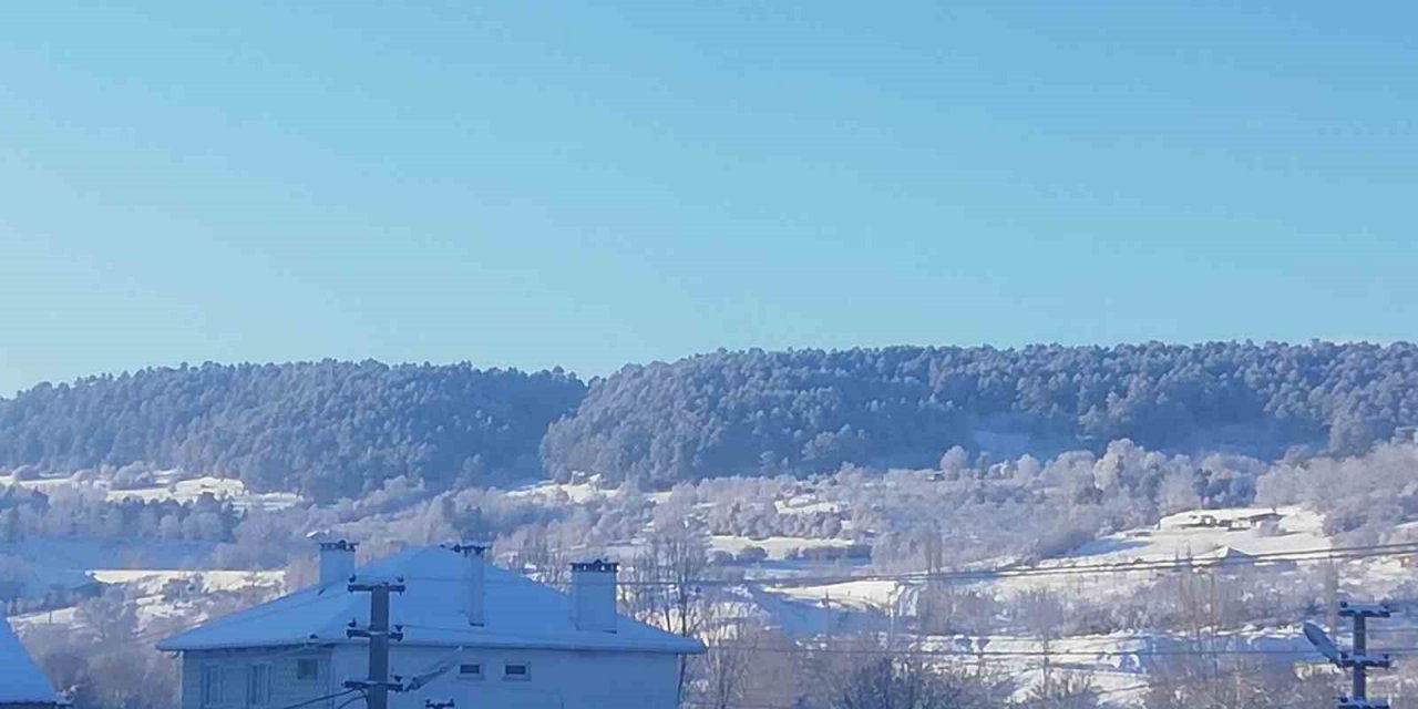 Bursa Keles’te kar yağışı çiftçiyi sevindirdi