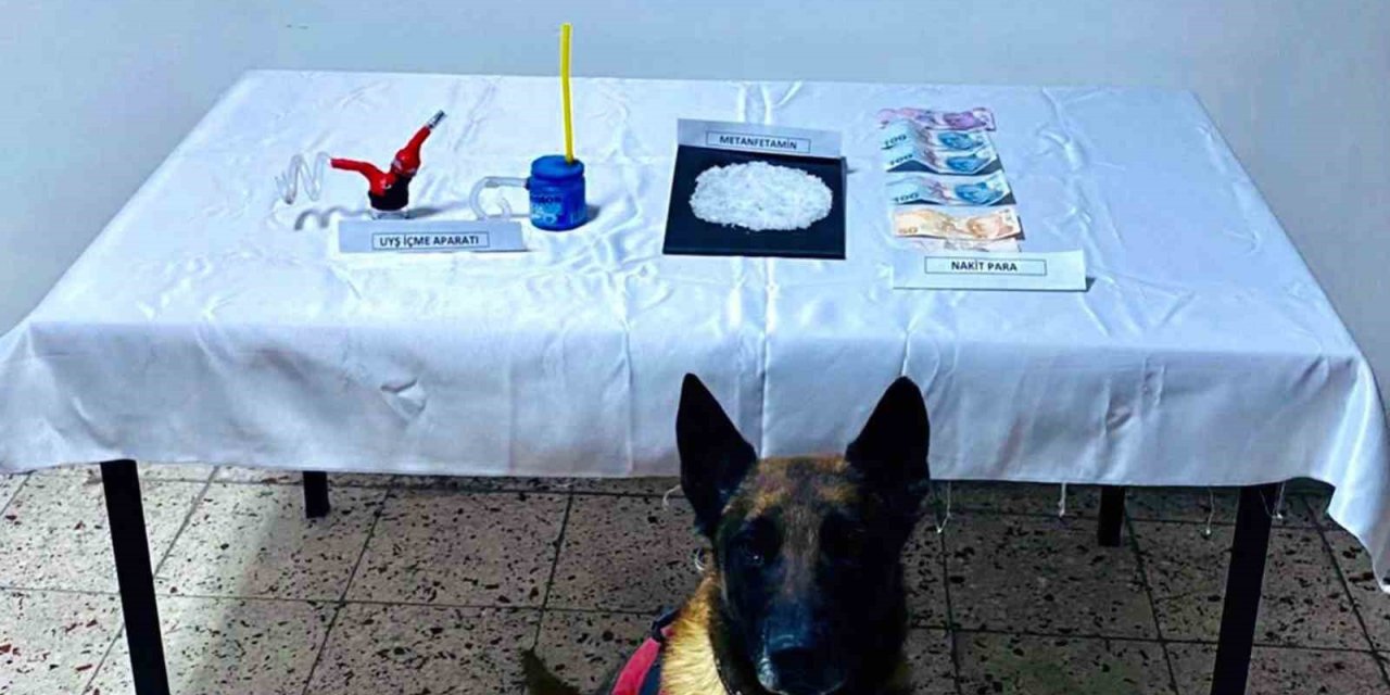 Narkotik köpek ‘Kont’ destekli uyuşturucu operasyonu