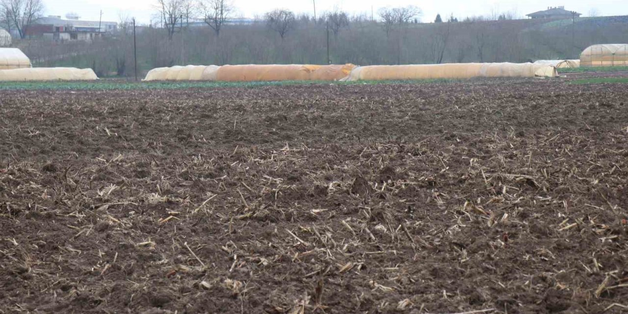 Kuraklığın tarıma etkisi