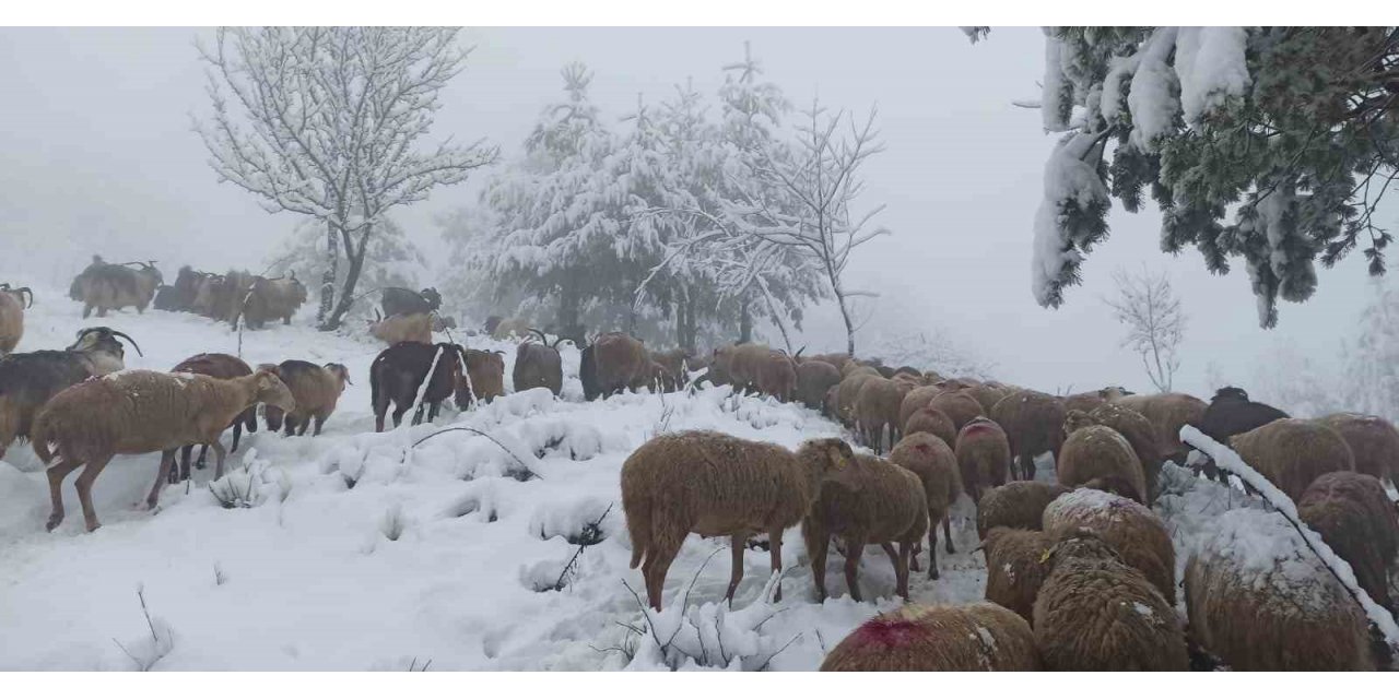 Sakarya’da yüksek kesimlerde kar yağışı etkili oluyor