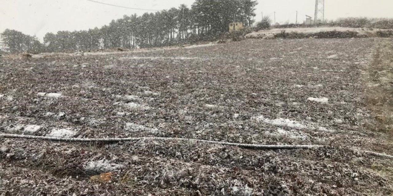 Denizli baharı karla karşıladı