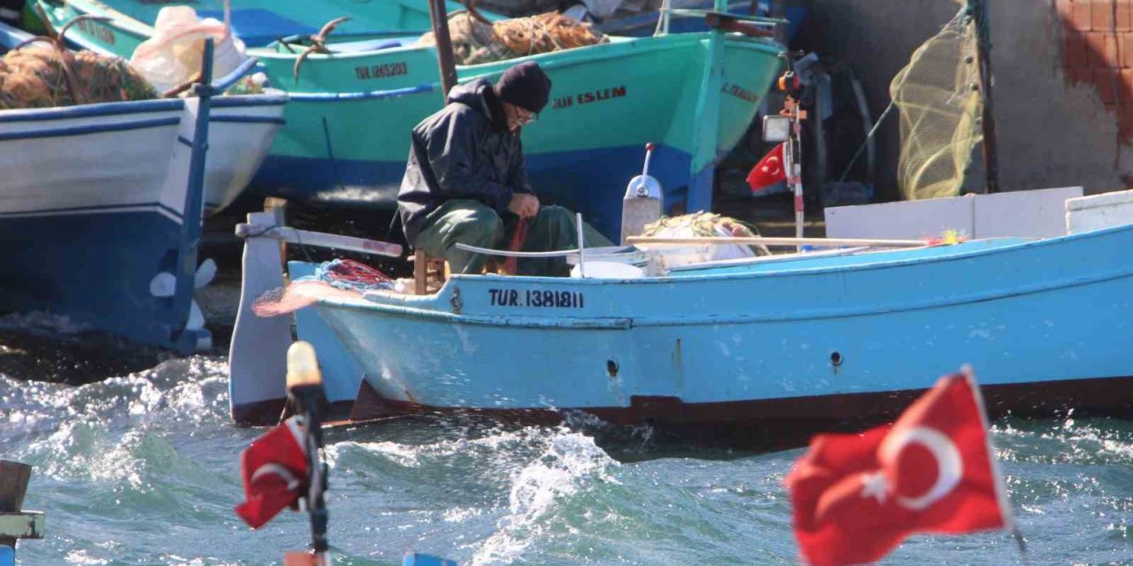 Hamsi sezonu kapattı, vatandaş istavrit ve mezgite yöneldi