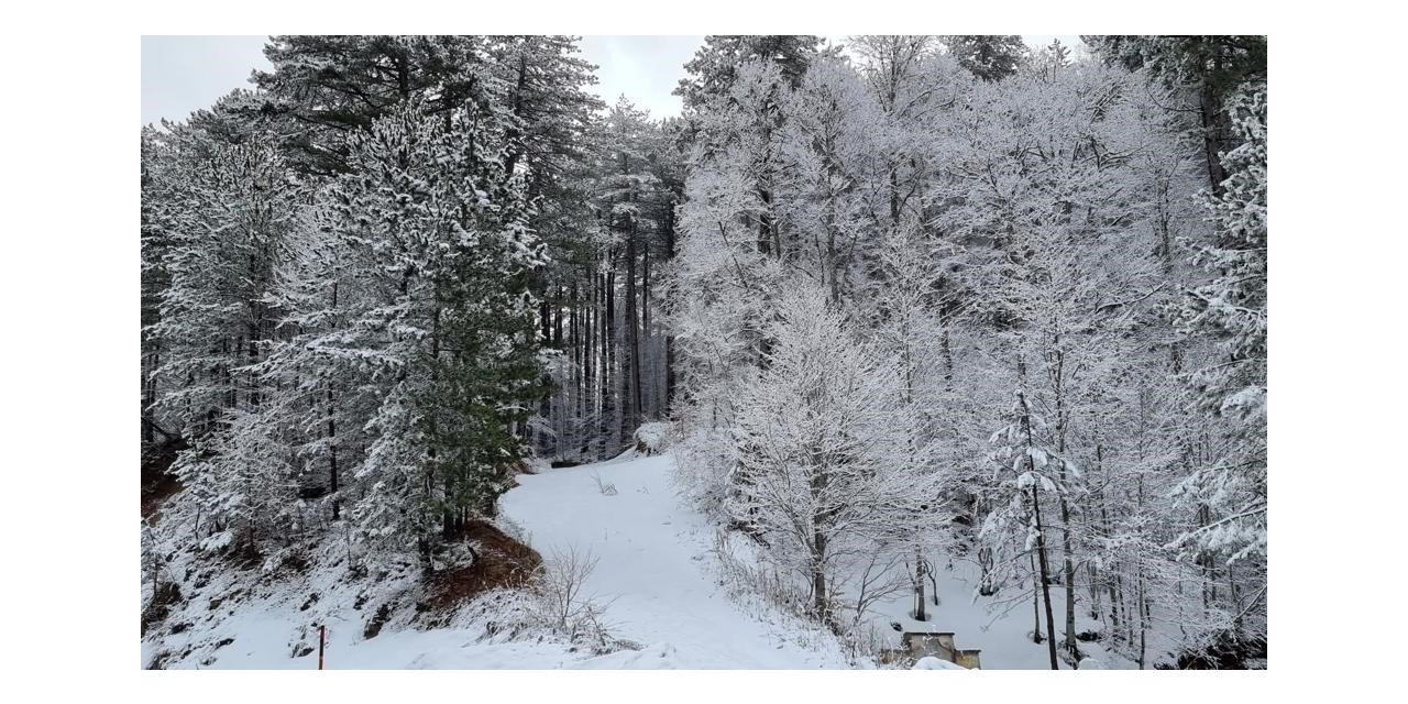 Kütahya’nın Domaniç Dağı’na mart karı