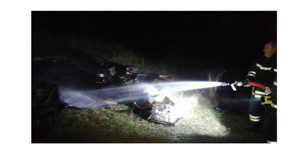 Ormanlık alandaki arı kovanları kül oldu