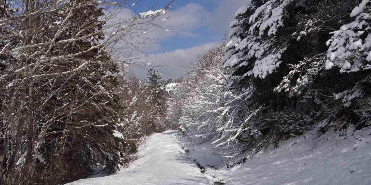 Abant’ta Mart ayında kar sürprizi