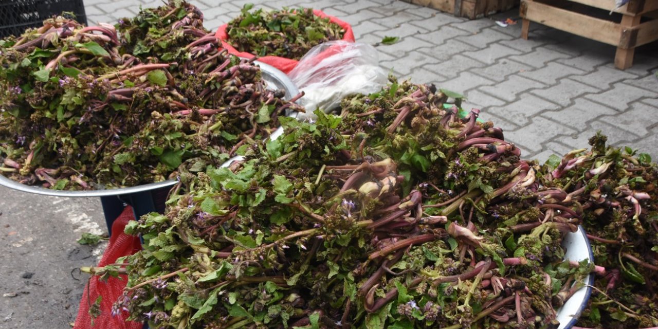 Sinop’ta “zılbıt” zamanı