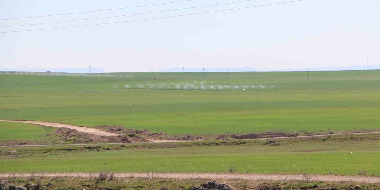 Yer altındaki canlılar depremi öncesinden hissettiği için zararı minimum yaşadı