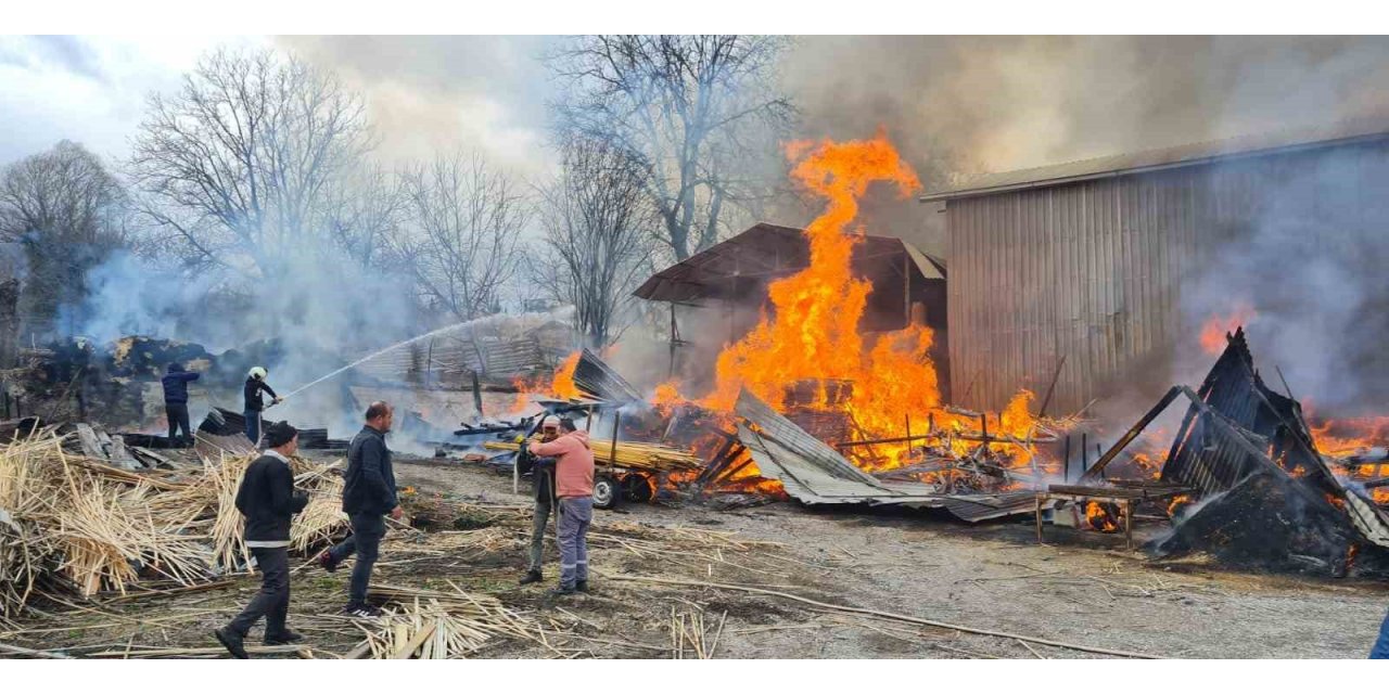 Balıkesir’de kereste fabrikasında yangın