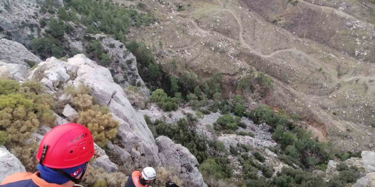 Kayalıklarda mahsur kalan keçiyi MAG-AME ekibi kurtardı