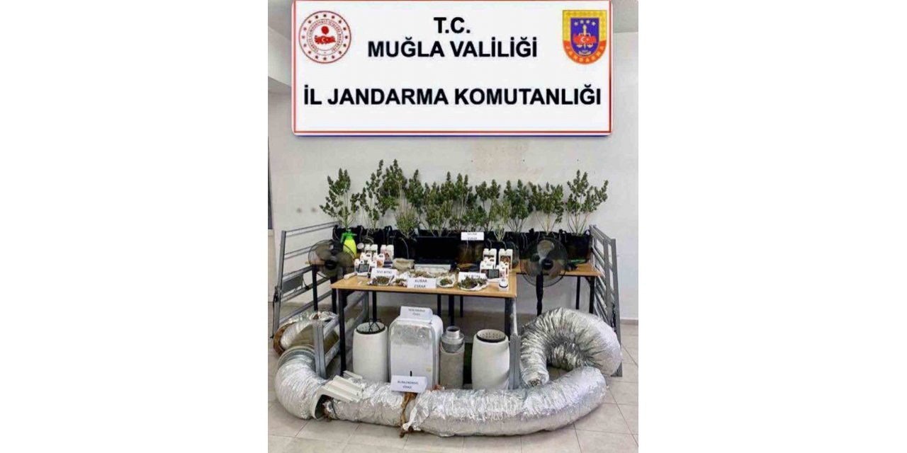 Jandarmadan Dalaman’da uyuşturucu operasyonu