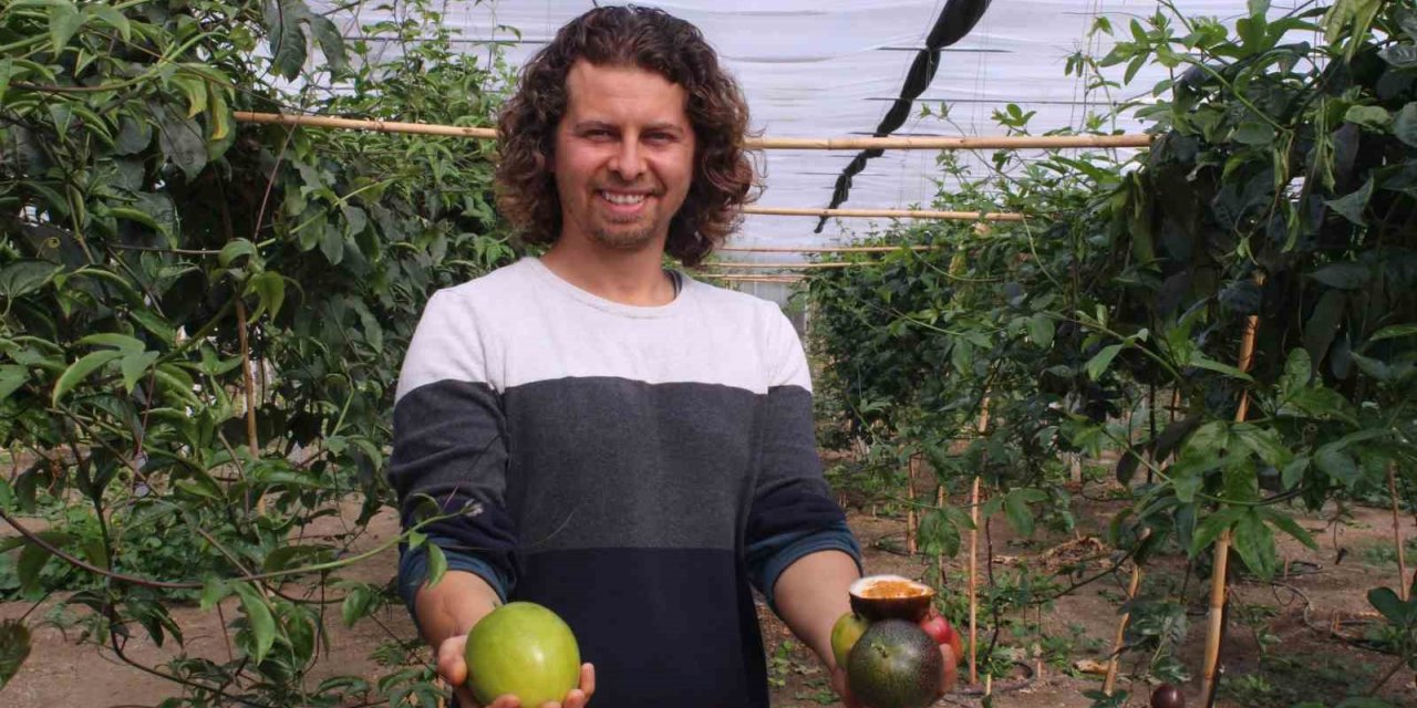 İthal meyveyi İzmir’de üretti, rotayı Avrupa’ya çevirdi