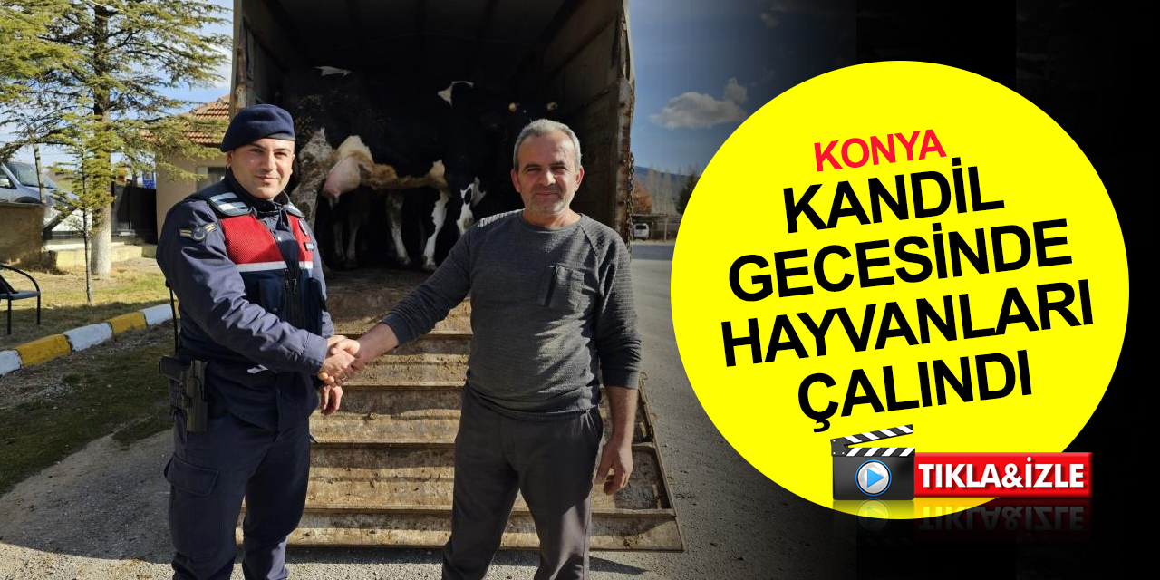 Konya’da kandil gecesi 300 bin liralık büyükbaş hayvan çalan şahıs tutuklandı