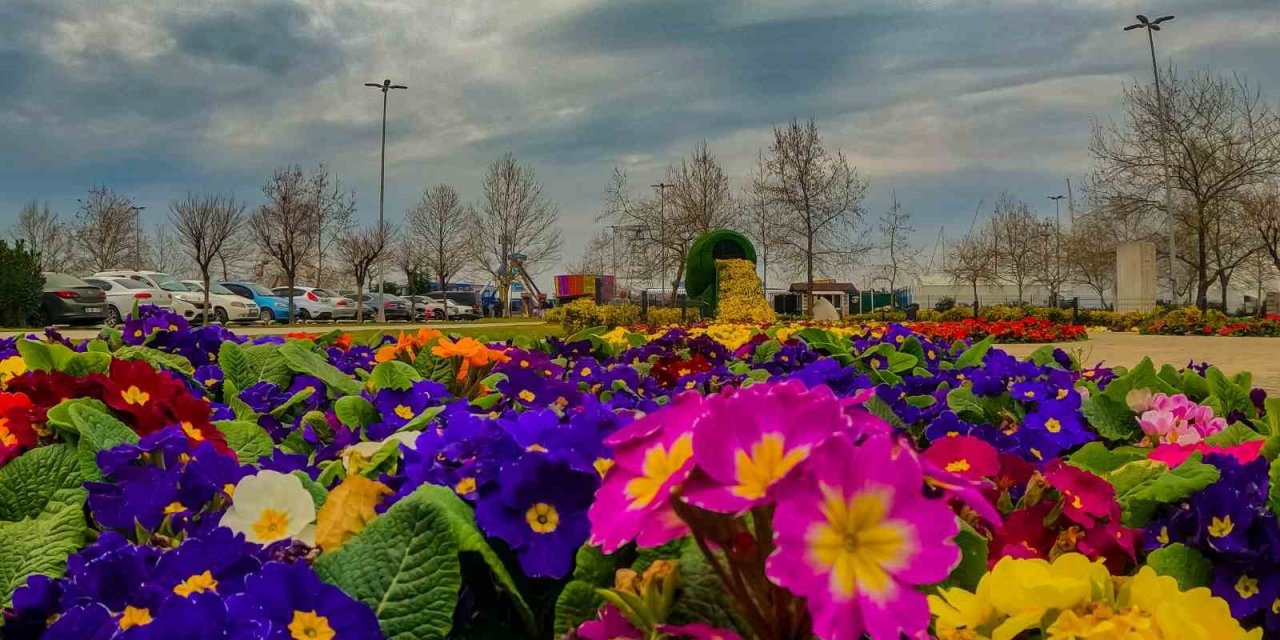 Yalova Belediyesi’nden peyzaj çalışması