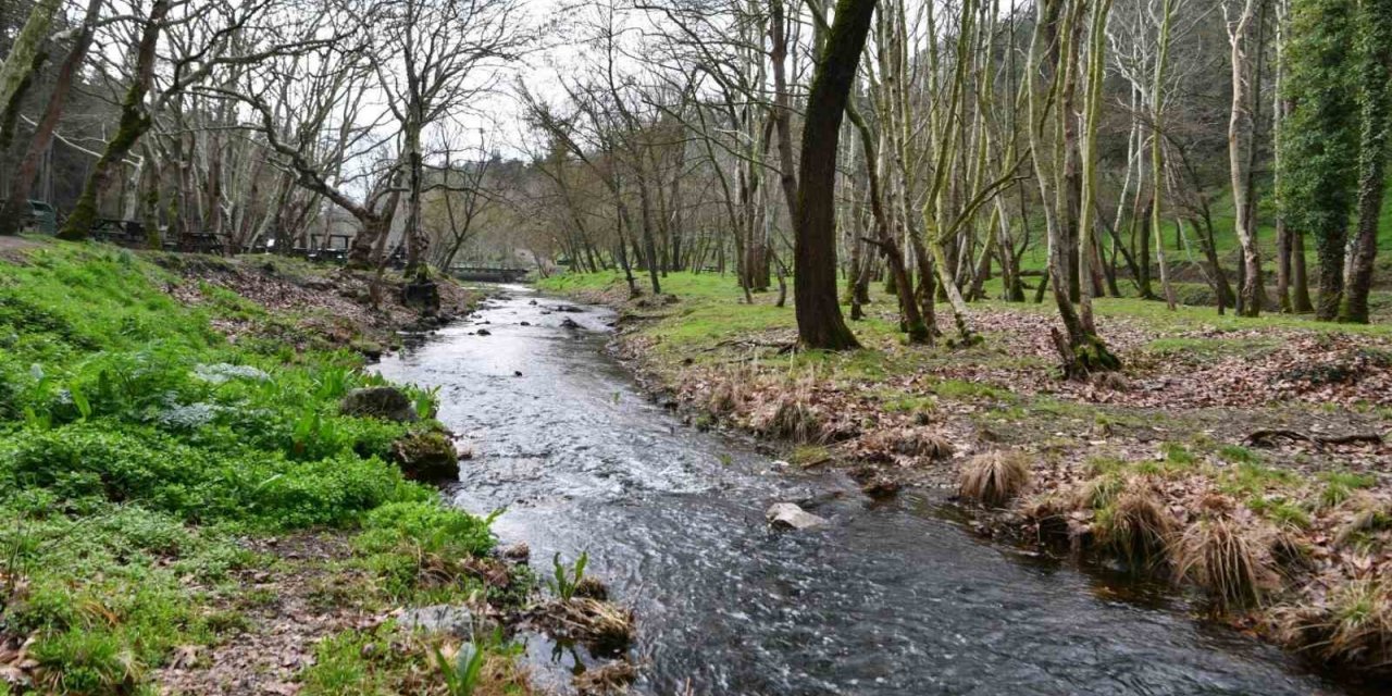 Tabiat parkındaki dere temizlendi