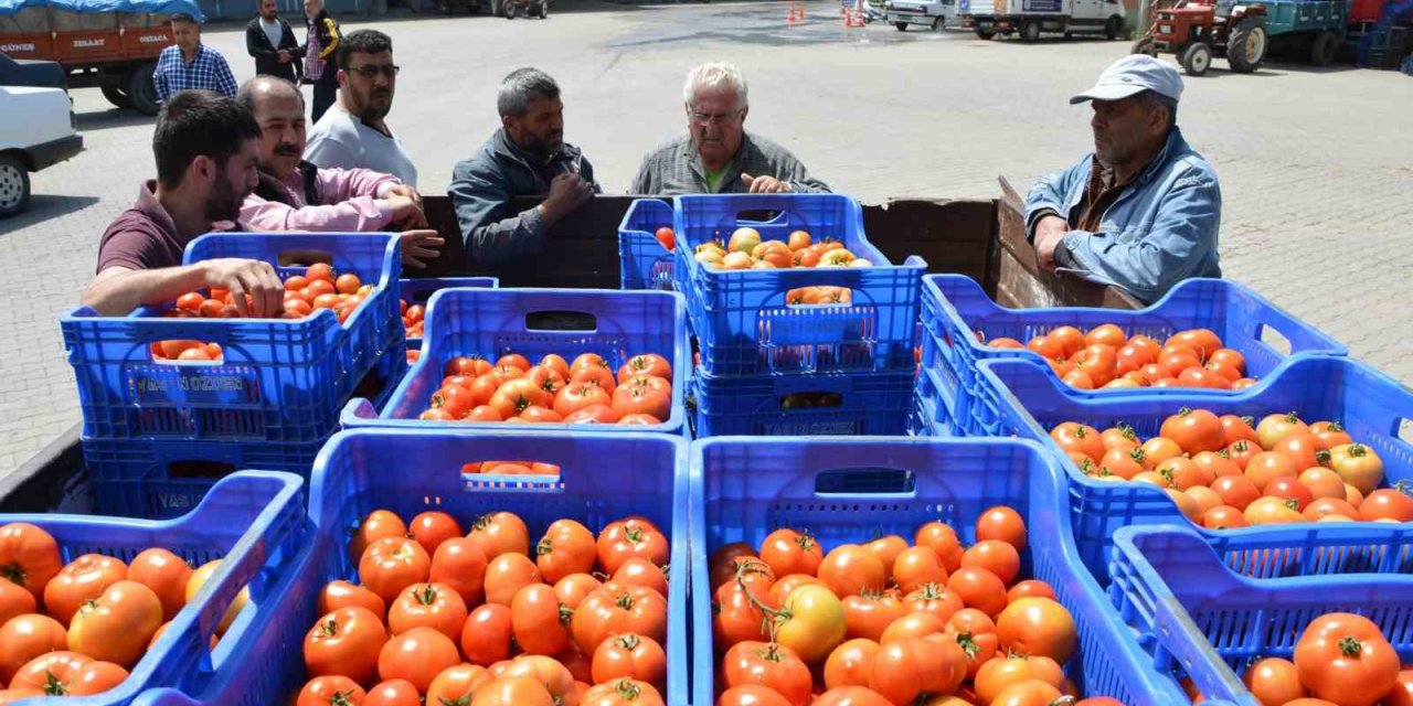 Domates ihracatındaki yasak kaldırıldı