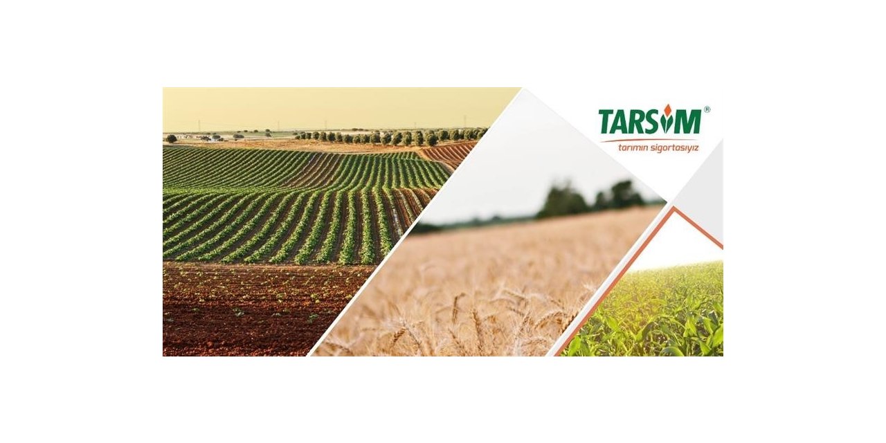 Hasar fazlası desteğine ilişkin Cumhurbaşkanı kararı yayımlandı