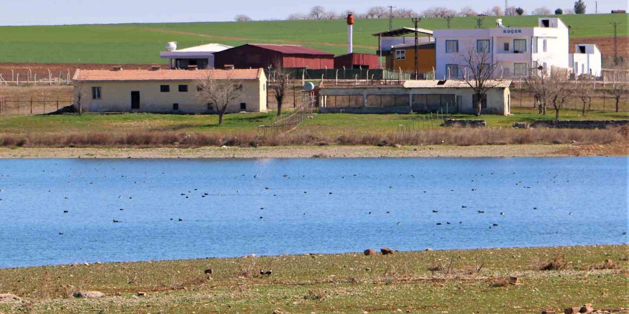 Kabaklı Göleti’nde nadir görülen kuş popülasyonu