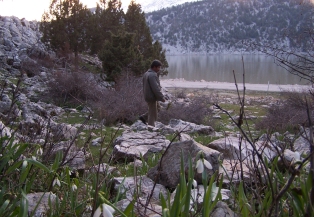 Derebucak'ta endemik bitkiler araştırılacak