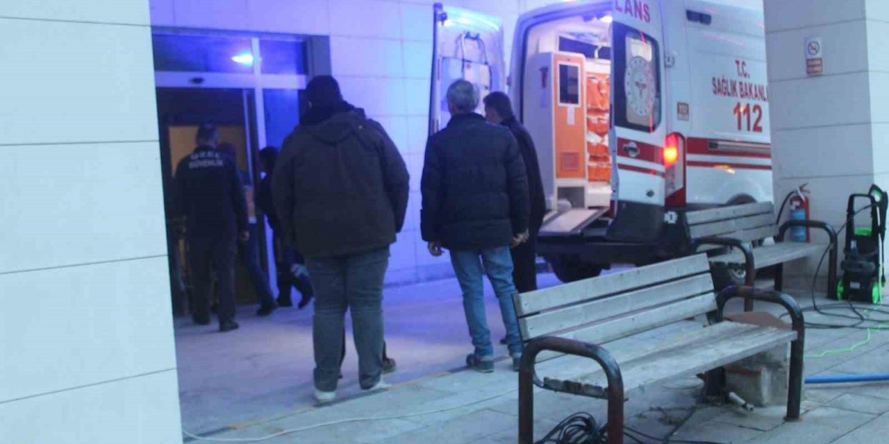 Budamak için çıktığı ağaçtan düşten vatandaş yaralandı