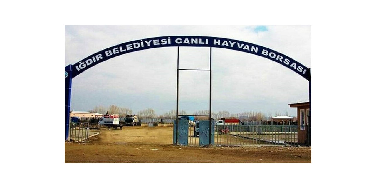Şap hastalığından dolayı Iğdır hayvan pazarı kapatıldı