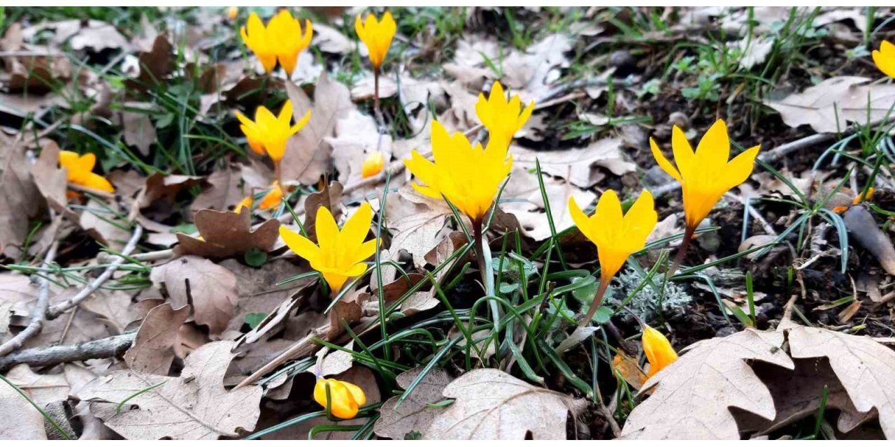 Karların erimesiyle şelale oluştu