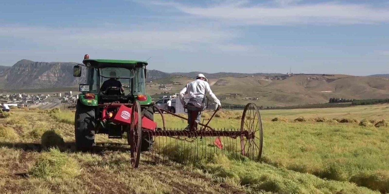 Siirt’te ÇKS başvuru süresi uzatıldı