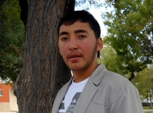 Arı hastanelik etti