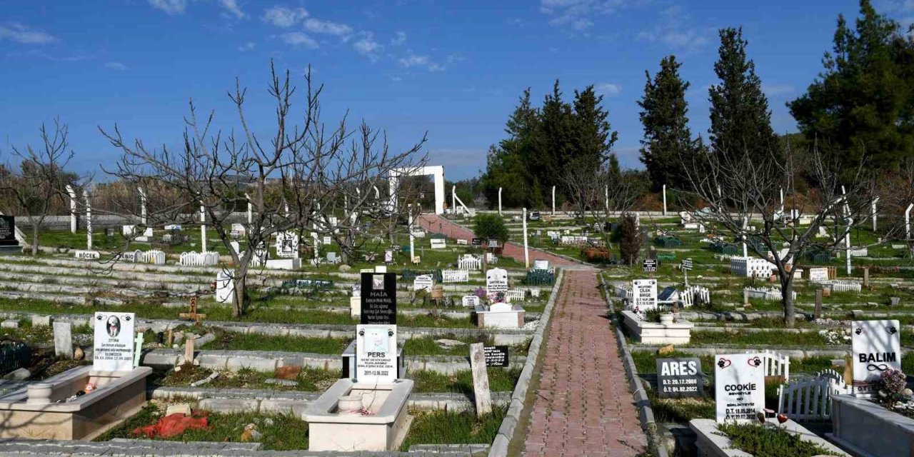 Kahraman köpek Proteo’nun ismi Kuşadası’nda yaşayacak