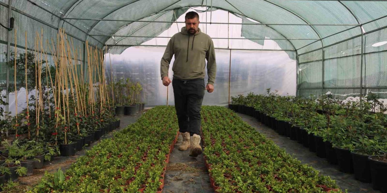 Depremin ardından bahçelere yönelen vatandaşların fide ve bitkilere ilgisi arttı