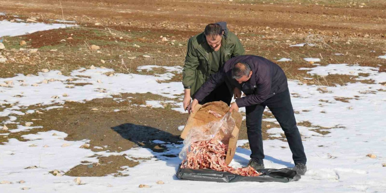Batman’da yiyecek bulamayan hayvanlar unutulmadı