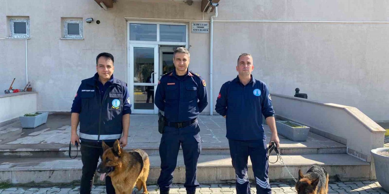 Eğitimlerini tamamlayan 2 köpek jandarmaya sahiplendirildi